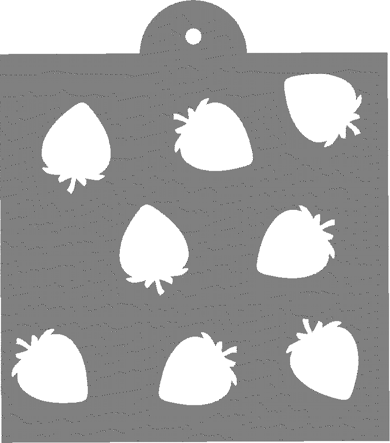 Fragole Out of the Wood