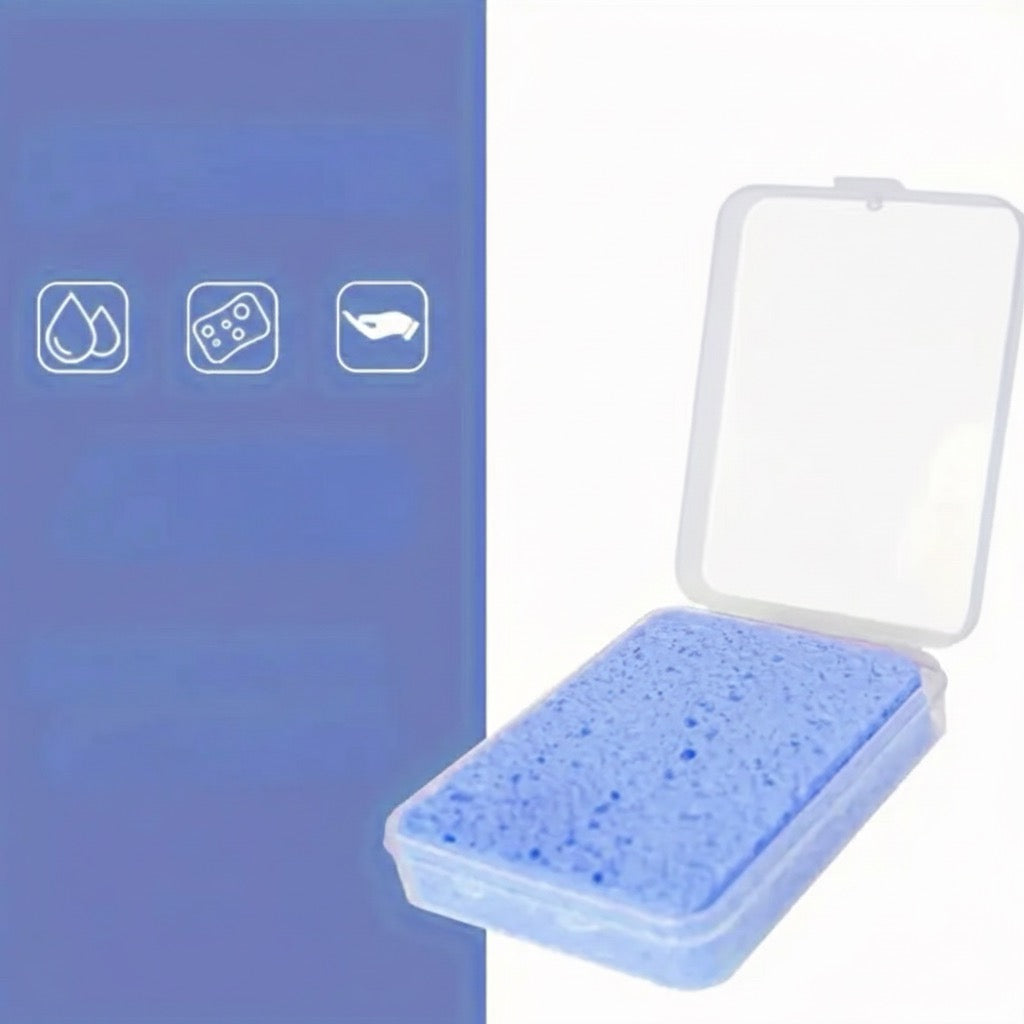 Custodia trasparente per preparazione pennelli per pittura Out of the Wood