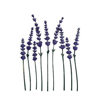 Fiori: Lavanda Out of the Wood