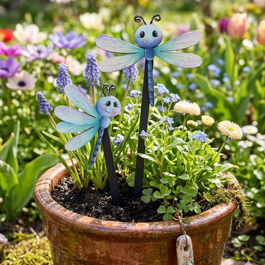 Libellule calamita Out of the Wood