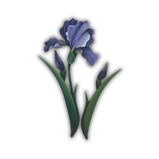 Fiori: Iris Out of the Wood