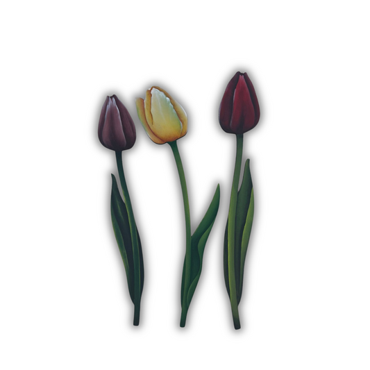 Fiori: Tulipani (3 pezzi) Out of the Wood